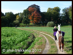 Lama-Trekkingtour2013