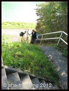 Lama-Trekkingtour2013