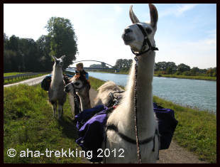 Lama-Trekkingtour2013