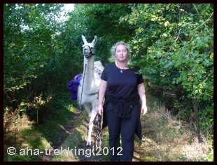 Lama-Trekkingtour2013