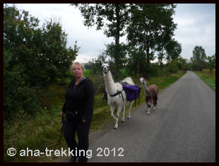 Lama-Trekkingtour2013