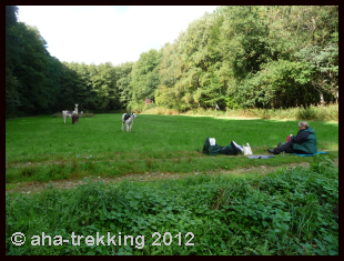 Lama-Trekkingtour2013