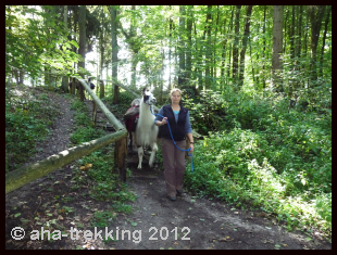 Lama-Trekkingtour2013