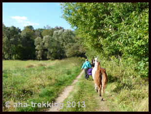 Lama-Trekkingtour2013