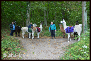 Lama-Trekkingtour2013