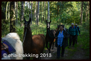 Lama-Trekkingtour2013