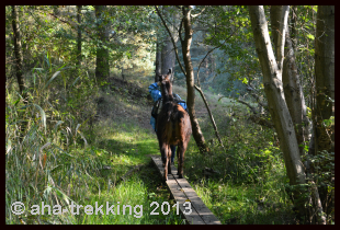 Lama-Trekkingtour2013