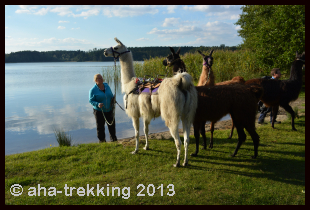 Lama-Trekkingtour2013