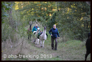 Lama-Trekkingtour2013