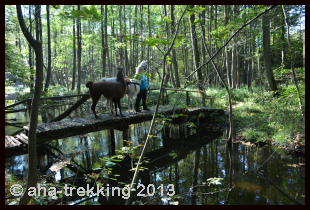 Lama-Trekkingtour2013