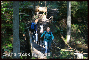 Lama-Trekkingtour2013