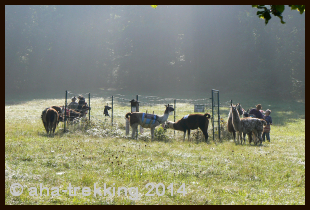 Lama-Trekkingtour2014