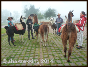 Lama-Trekkingtour2014