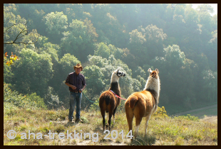 Lama-Trekkingtour2014