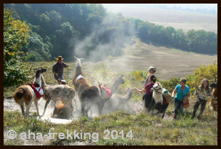 Lama-Trekkingtour2014