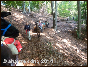 Lama-Trekkingtour2014