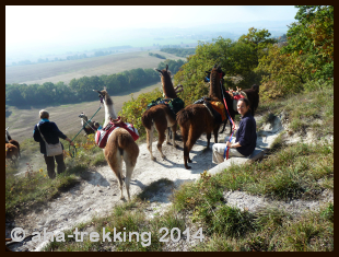 Lama-Trekkingtour2013