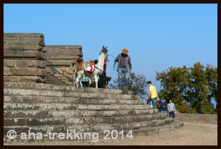 Lama-Trekkingtour2013