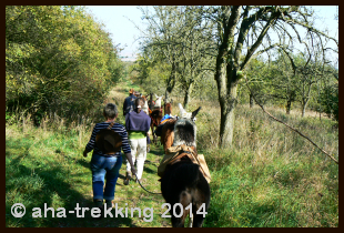 Lama-Trekkingtour2013