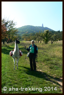 Lama-Trekkingtour2013