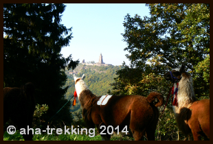 Lama-Trekkingtour2013